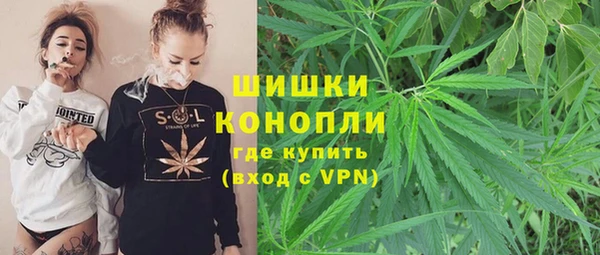 дурь Гусев