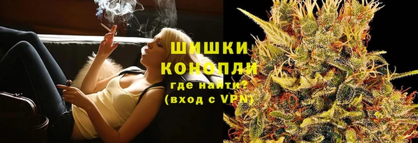 дурь Гусев