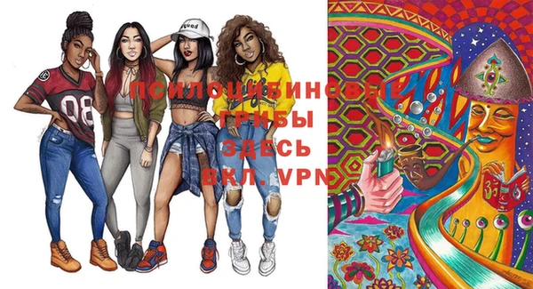 марки lsd Гусиноозёрск