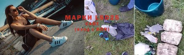 дурь Гусев