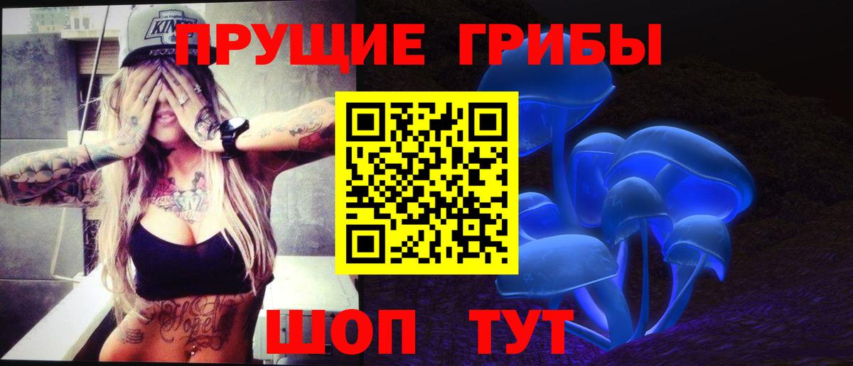 Галлюциногенные грибы Psilocybine cubensis  Галлюциногенные грибы Cubensis  Москва  Вход с VPN 