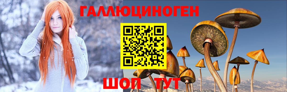 Псилоцибиновые грибы GOLDEN TEACHER Москва